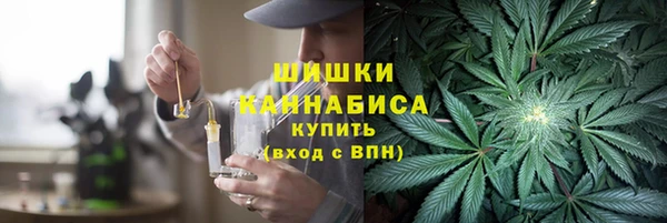ГАЛЛЮЦИНОГЕННЫЕ ГРИБЫ Бородино