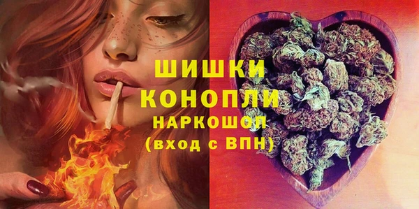 ГАЛЛЮЦИНОГЕННЫЕ ГРИБЫ Бородино