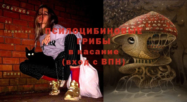 ГАЛЛЮЦИНОГЕННЫЕ ГРИБЫ Бородино