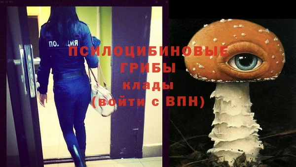 ГАЛЛЮЦИНОГЕННЫЕ ГРИБЫ Бородино