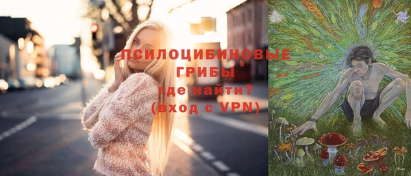 ГАЛЛЮЦИНОГЕННЫЕ ГРИБЫ Бородино