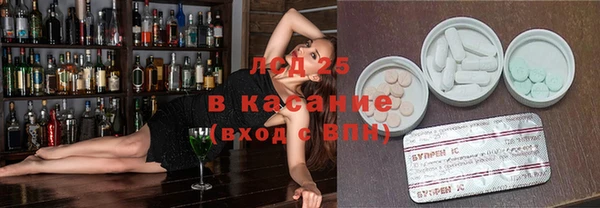 ГАЛЛЮЦИНОГЕННЫЕ ГРИБЫ Бородино