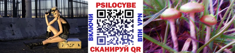 Галлюциногенные грибы ЛСД  Купить  Гвардейск 